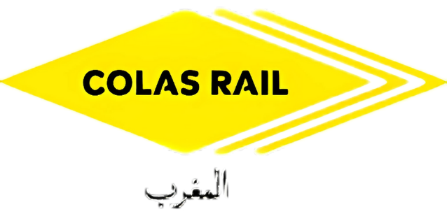 White and Gold Minimalist Diamond Jewelry Store Logo (9)